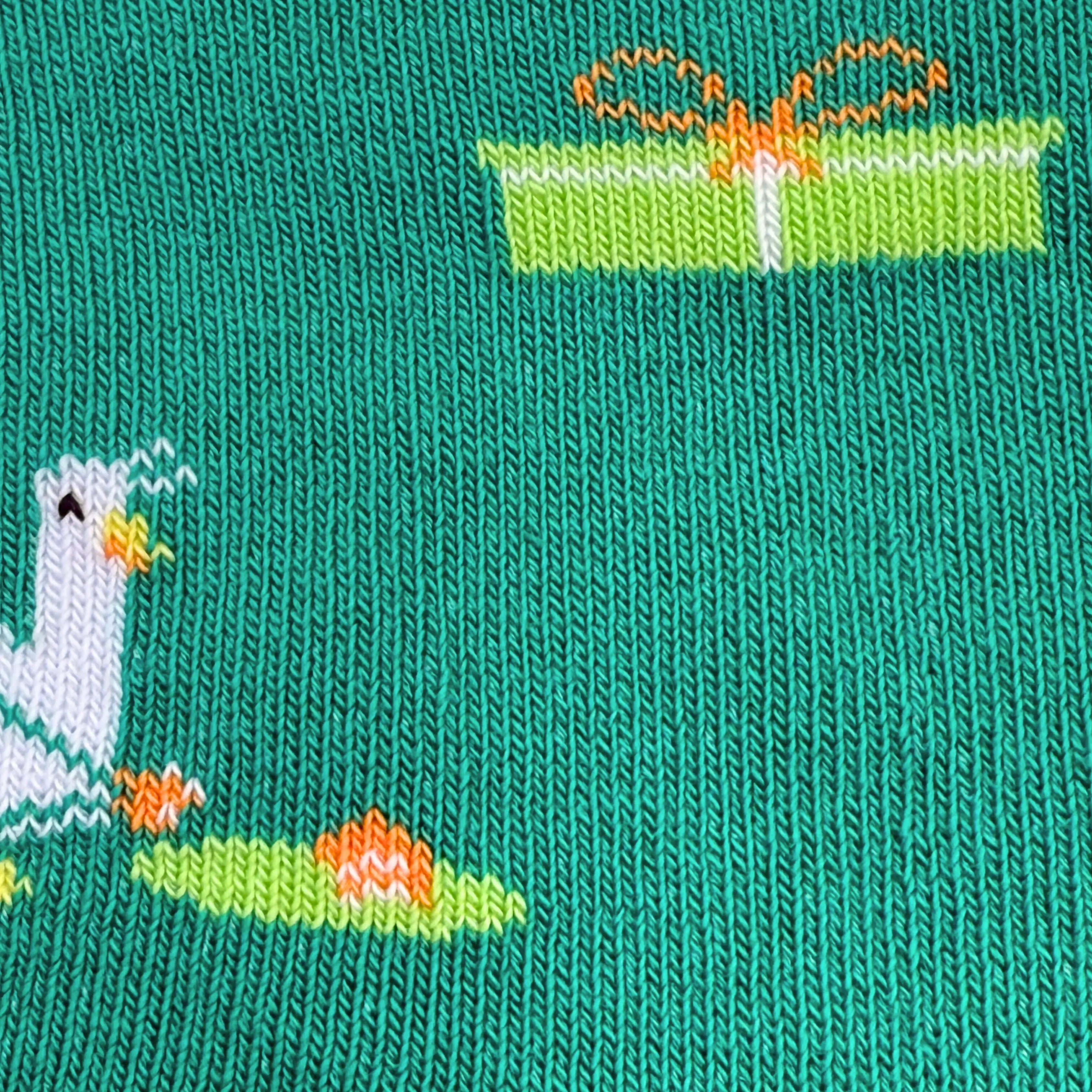 Friday Sock Co. - Chaussettes d'anniversaire pour enfant
