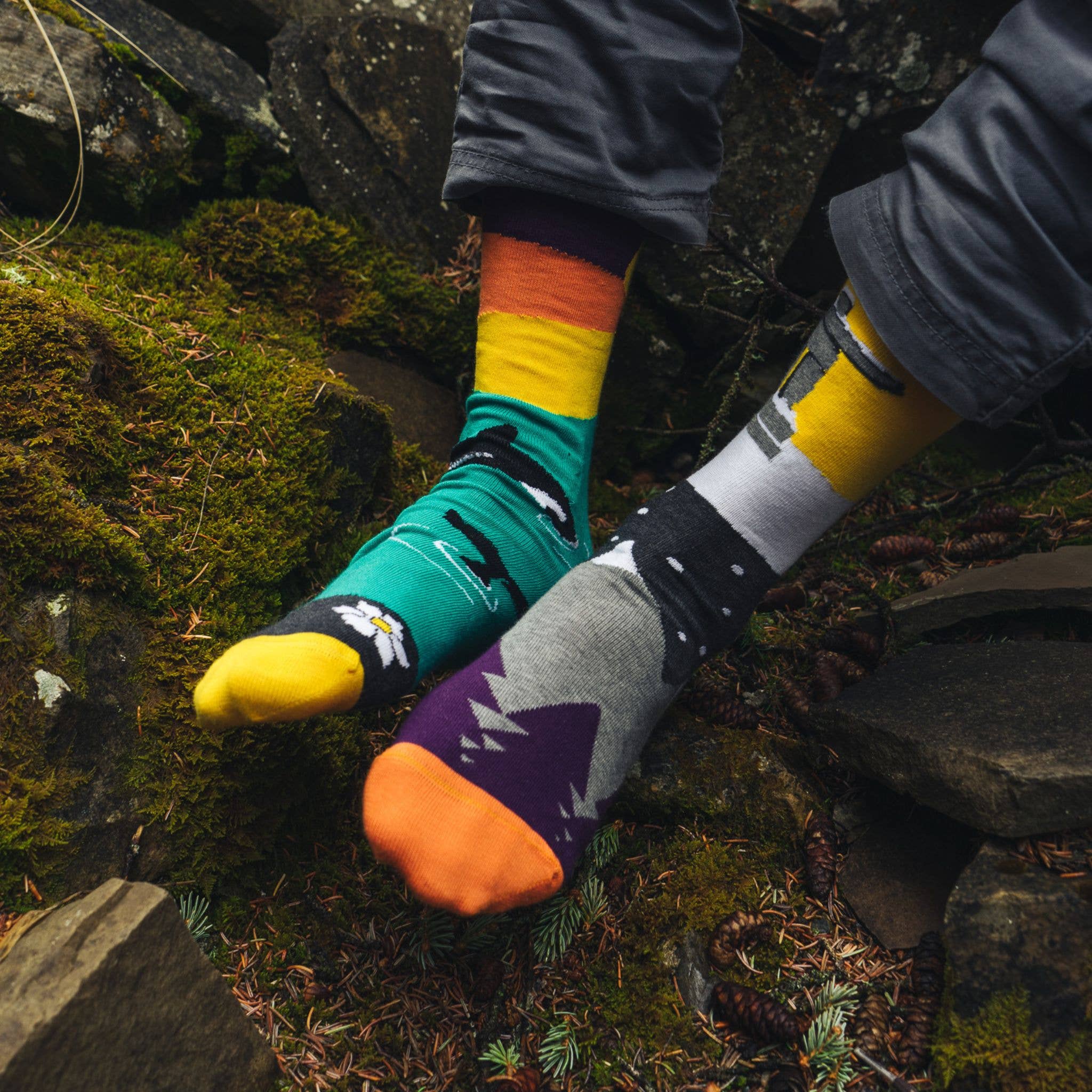 Friday Sock Co. - Chaussettes Paysage de la Côte Ouest Canadienne pour Hommes